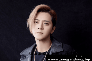 《罗志祥》22张专辑/单曲歌曲音乐合集[FLAC/MP3/8GB]百度网盘下载