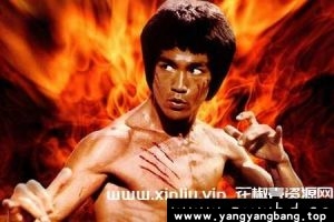 《李小龙》6部电影1080P视频合集中字[MP4/23GB]云网盘下载