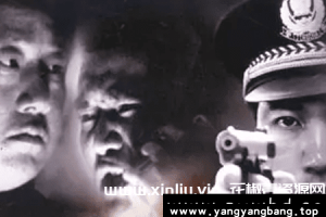 《中国大案重案纪实》全5部视频资料合集[MP4/52GB]百度云网盘下载