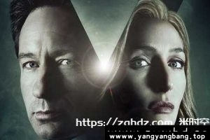 美剧《X档案/The X-Files》全1-11季+电影视频合集百度云网盘下载