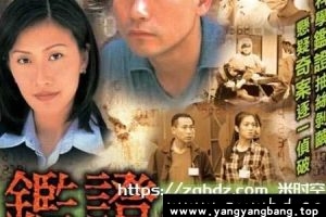 港剧《鉴证实录》全1-2部高清视频合集云网盘下载