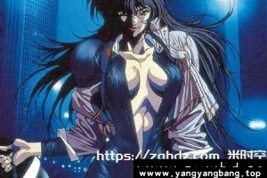 日本《天使特警OVA/Angel Cop》全1-6集1080P超高清视频合集[MP4/2GB]百度网盘下载