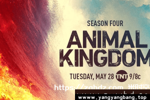 美剧《野兽家族》全1-6季高清视频合集[MP4/78GB]百度云网盘下载