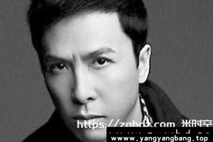 《甄子丹》全部电影高清视频合集[MKV/MP4/282GB]云网盘下载