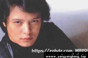 《刘文正》19张专辑歌曲音乐合集[FLAC/9GB]百度网盘下载