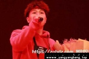 无损《刘大壮歌曲音乐合集》[FLAC/1.58GB]百度云网盘下载