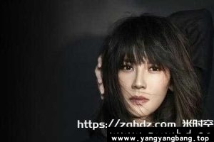 《杨乃文》11张专辑歌曲无损音乐合集[FLAC/MP3/5GB]百度云网盘下载