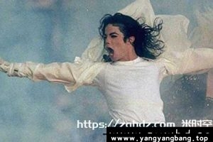 《迈克尔杰克逊》24张专辑歌曲音乐合集[FLAC/MP3/19GB]百度网盘下载