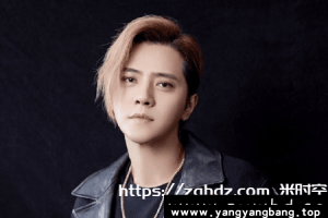 《罗志祥》22张专辑歌曲音乐合集[FLAC/MP3/8GB]百度网盘下载