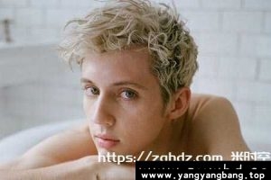《戳爷/Troye Sivan》全部专辑歌曲无损音乐合集[FLAC/MP3/4GB]云网盘下载
