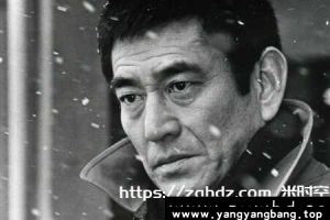 《高仓健》9部电影高清视频合集[MP4/38GB]云网盘下载