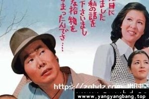 日剧《寅次郎的故事》高清视频合集国日双语中字[MP4/168GB]云网盘下载