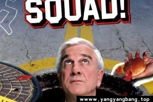 美剧《白头神探/The Naked Gun》1982英语中字TV版百度云盘网盘下载