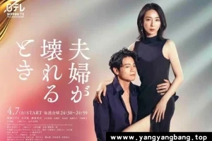 日剧《夫妻破裂之际/夫婦が壊れるとき》日语中字电影[MP4/997MB]云网盘下载