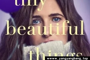 美剧《最美丽的小事》视频英语中字[MP4/5GB]云网盘下载