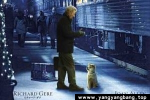 美剧《忠犬八公的故事/Hachi: A Dog’s Tale》超高清电影视频英语中字[MP4/2.7 GB]百度云网盘下载