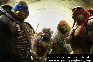 动画《忍者神龟》全1-7季高清视频英语中字[MP4/25GB]百度云网盘下载