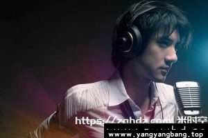 《王力宏》20张专辑歌曲音乐合集[FLAC/MP3/15GB]百度网盘下载