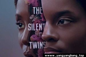 美剧《沉默的双胞胎》超高清电影视频[MP4/6GB]百度网盘下载