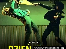 波兰剧《母亲节行动》超高清1080P电影视频[MP4/3GB]百度网盘下载