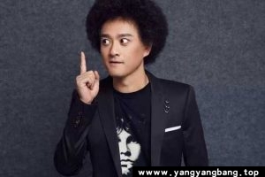 《赵英俊》歌曲无损音乐合集+演唱会[FLAC/MP4/MP3/5GB]百度网盘下载