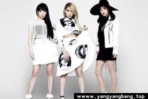 《2NE1》30张专辑歌曲无损音乐合集[FLAC/MP3/6GB]百度云网盘下载