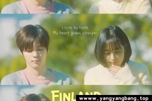 韩剧《芬兰爸爸》全6集高清电影视频[MP4/3GB]百度云网盘下载