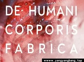 纪录片《人体结构》高清视频[MP4/5GB]百度网盘下载