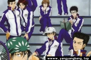 动画《网球王子》全178集+剧场版+OVA视频合集[MP4/45GB]云网盘下载