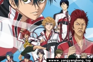 动画《新网球王子》全集+冰帝VS立海前后篇高清视频[MP4/6GB]云网盘下载