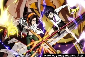 动画《通灵王》全集高清视频合集[MP4/16GB]云网盘下载