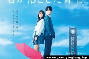 日剧《你遗落的蓝天/君が落とした青空》高清视频[MP4/2GB]百度云网盘下载