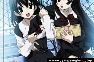 动漫/动画《日在校园/スクールデイズ》全集高清电影视频合集[MP4/2.97 GB]云网盘下载