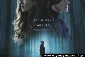 美剧《双胞回声/Echoes》全集高清视频合集[MP4/10GB]云网盘下载