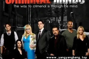 美剧《犯罪心理/Criminal Minds》全1-16季1080P高清视频合集[MP4/495.17GB]云网盘下载