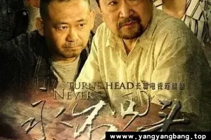 电视剧《永不回头》全集视频合集[MP4/FLV/4GB]云网盘下载