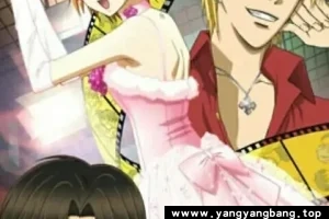 动画《华丽的挑战/Skip Beat》高清电影视频[MP4/4GB]云网盘下载