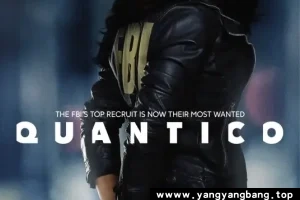 美剧《谍网/Quantico》全1-3季高清视频合集[MP4/46GB]云网盘下载