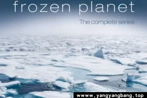 纪录片《冰冻星球》全1-2季1080P超高清英语中字[MP4/36GB]云网盘下载