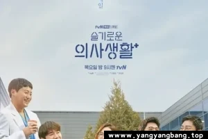 韩剧《机智的医生生活》全1-2季1080P视频合集[MP4/36GB]百度网盘下载