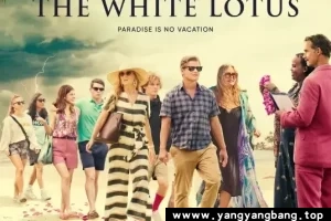 美剧《白莲花度假村》全1-2季1080P超高清视频合集[MP4/19GB]百度网盘下载