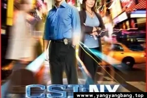 美剧《犯罪现场调查：纽约/CSI: NY》全1-9季高清视频英语中字[MP4/149GB]云网盘下载