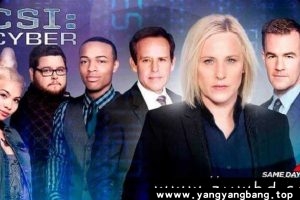 美剧《犯罪现场调查：网络》全1-2季视频合集英音中字[MP4/13GB]云网盘下载