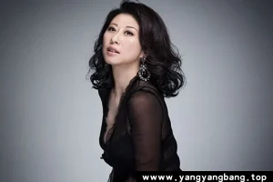 《叶倩文》精选100首歌曲无损音乐合集[MP3+FLAC/4GB]百度网盘下载