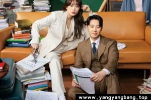 韩剧《有益的欺诈》全16集高清视频合集韩语中字[MP4/24GB]云网盘下载