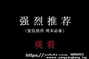 36部《复仇系列电影视频》高清视频合集英语中字[MP4/181GB]云网盘下载