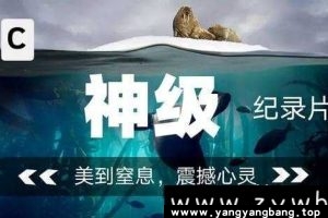 《51部4K原盘纪录片》视频合集英语中字[MP4/2199GB]云网盘下载