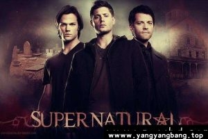 美剧《邪恶力量》全1-15季高清视频合集英音中字[MP4/119GB]百度云网盘下载