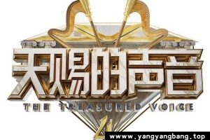 综艺《天赐的声音》全1-4季高清视频合集[MP4/99GB]百度云网盘下载