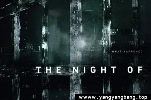 美剧《罪夜之奔》全集高清视频合集[MP4/MVK/99GB]云网盘下载